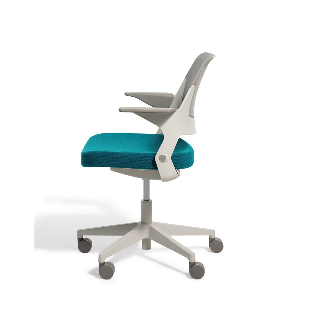 Ollo with Shell Back product thumbnail 3