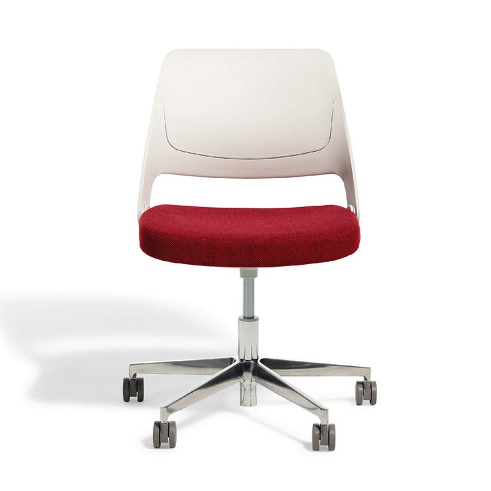 Ollo with Shell Back product thumbnail 7